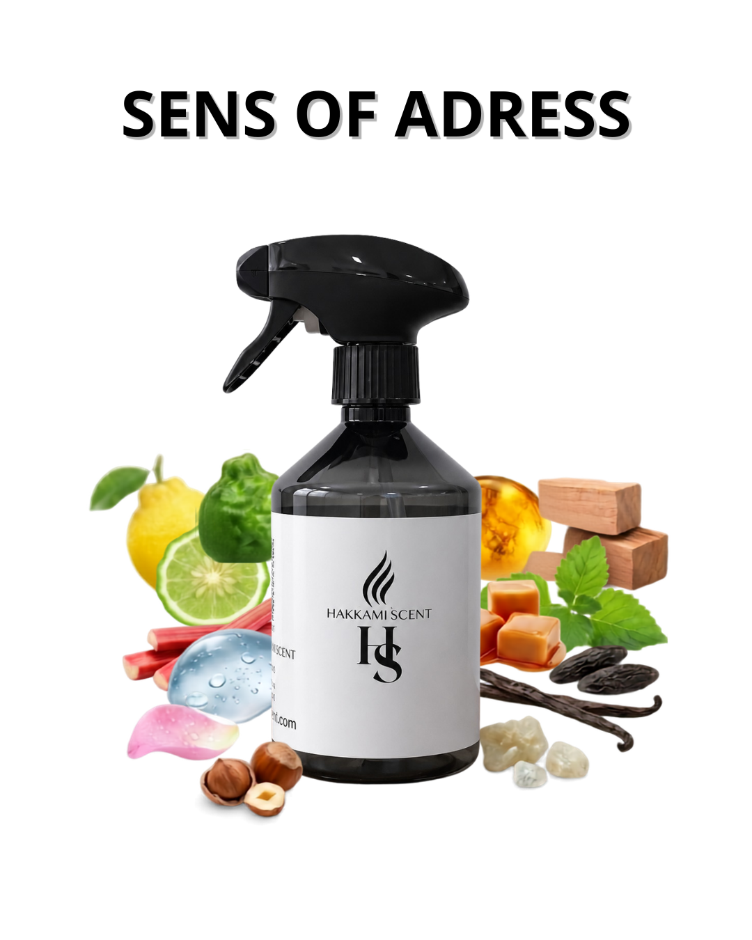 Sens of Adress